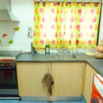 Homestay Valencia, Spain, P. Aleixandre, kitchen